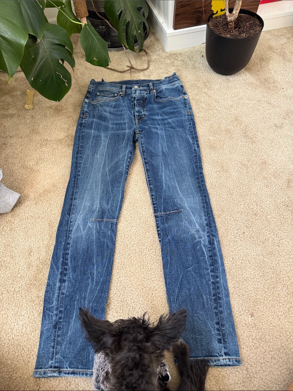 Women's Straight-Leg Jeans in Medium Blue Wash